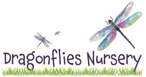 Dragonflies Nurseries